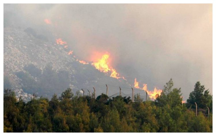ΣΥΜΠΟΛΙΤΕΙΑ: «Ως πότε θα σιωπά η κ. Κοσμοπούλου πάνω από τις στάχτες της Πεντέλης;»