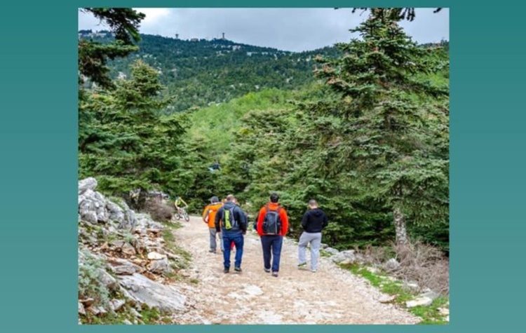 Πεζοπορία στο Ελατοδάσος της Πάρνηθας από τον Δήμο Φιλοθέης - Ψυχικού