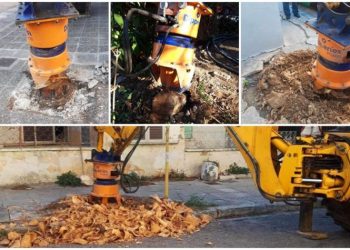 Εκριζώσεις κορμών δέντρων από τα πεζοδρόμια της Νέας Ιωνίας