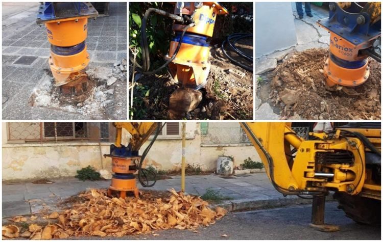 Εκριζώσεις κορμών δέντρων από τα πεζοδρόμια της Νέας Ιωνίας