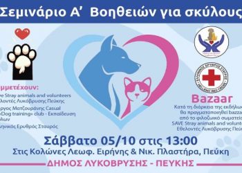 Σεμινάριο πρώτων βοηθειών για σκύλους το Σάββατο 5 Οκτωβρίου στις «Κολώνες»