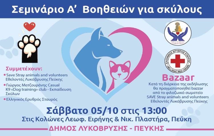 Σεμινάριο πρώτων βοηθειών για σκύλους το Σάββατο 5 Οκτωβρίου στις «Κολώνες»
