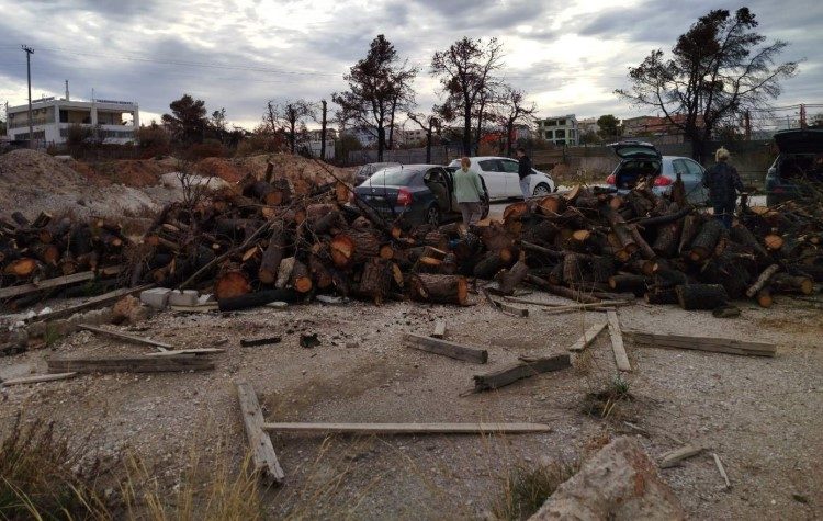 Πρώτη διανομή δωρεάν ξυλείας από τον Δήμο