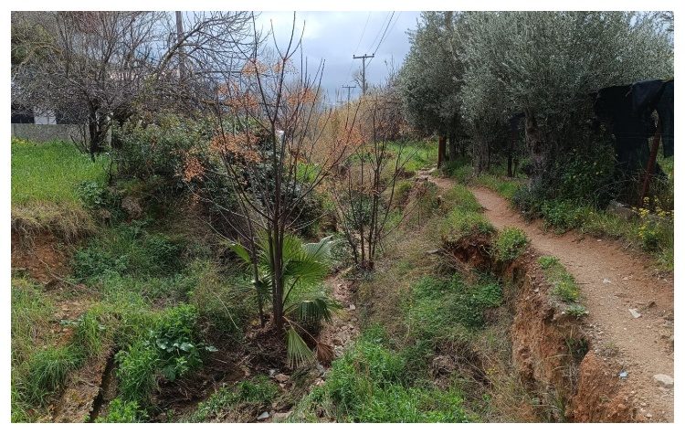 Πεζοπορία στο ρέμα Βριλησσού και την Ρεματιά Χαλανδρίου από τον «ΒΡΙΛΗΣΣΟ»