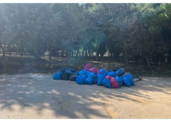 Εθελοντική δράση αποκομιδής σκουπιδιών στο Άλσος Βεΐκου