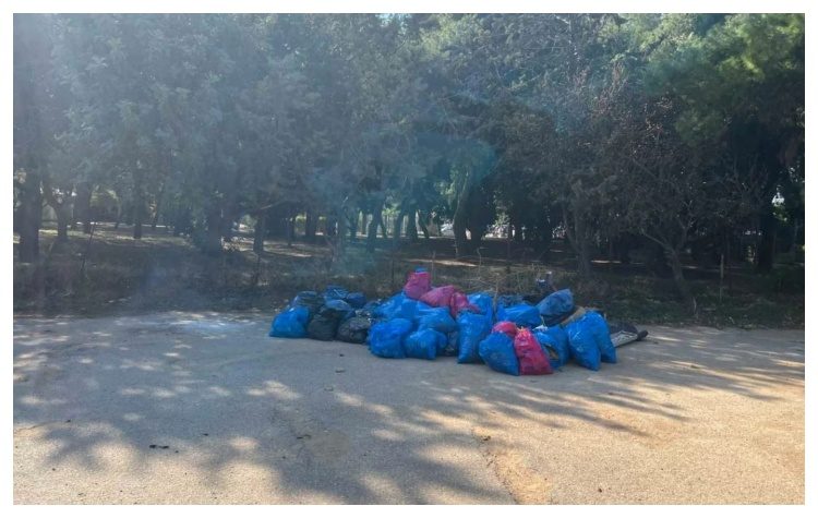 Εθελοντική δράση αποκομιδής σκουπιδιών στο Άλσος Βεΐκου