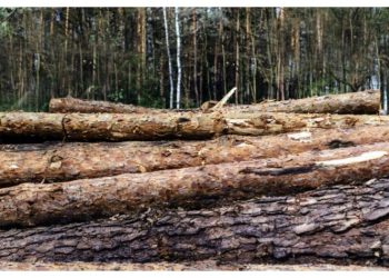 Νατάσσα Κοσμοπούλου: «Καθημερινός ο αγώνας για αντιπλημμυρική προστασία»