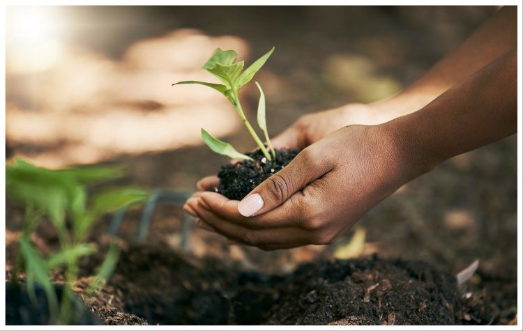 Aναβάλλεται η δενδροφύτευση στην πρώην Ναυτική Βάση