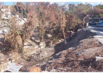  «Ανεπαρκείς οι παρεμβάσεις της Περιφέρειας μετά την πυρκαγιά του Αυγούστου»