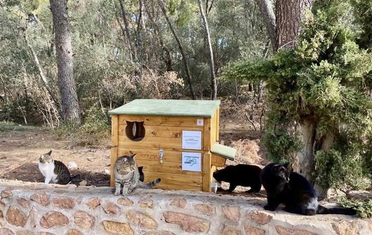 Φιλοθέη – Ψυχικό: Τέσσερα ακόμα σπίτια για αδέσποτα τοποθετήθηκαν στο πλαίσιο του προγράμματος «Αρετή Δημητροπούλου»
