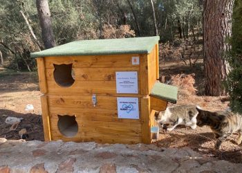 Δήμος Φιλοθέης – Ψυχικού: Συνεχίζεται το πρόγραμμα «Αρετή Δημητροπούλου»