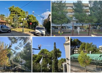 Ολοκληρώθηκαν οι ψεκασμοί των Πεύκων σε Λυκόβρυση και Πεύκη