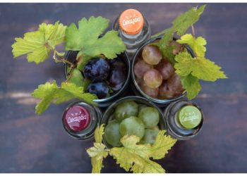 Ξεκίνησε η αποστακτική περίοδος και το τσίπουρο Δεκαράκι ξανά στο επίκεντρο με άριστη ποιότητα!