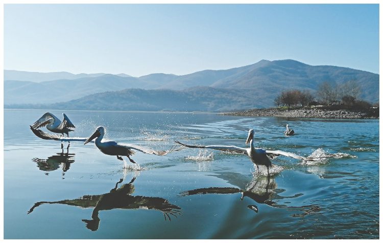 Όμιλος ΔΕΗ: Σημαντικές επιδόσεις καταγράφει η Έκθεση Βιώσιμης Ανάπτυξης