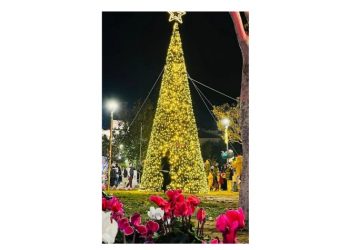 Φωταγωγήθηκε το χριστουγεννιάτικο δέντρο της πόλης των Βριλησσίων