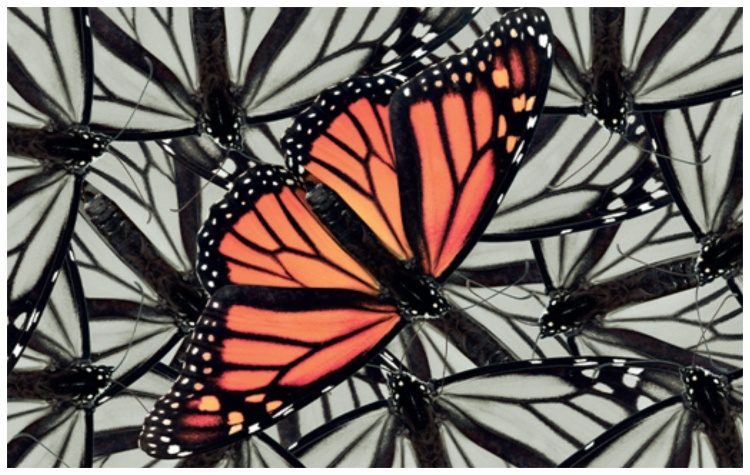 Κρυμμένη ψυχική ομορφιά (3η Έκδοση)