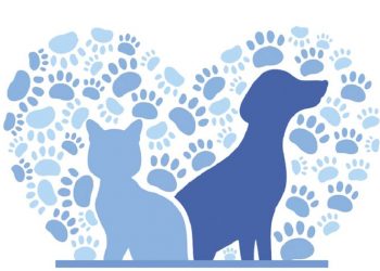 Δωρεάν τροφές για τα αδέσποτα ζώα από τον Δήμο Λυκόβρυσης-Πεύκης