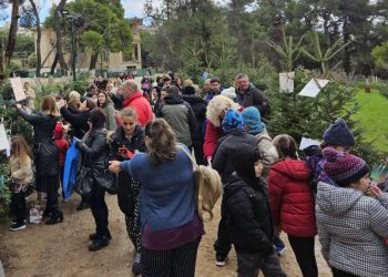 Τα παιδιά του Δήμου Ηρακλείου στολίζουν τα έλατα του Κτήματος Φιξ