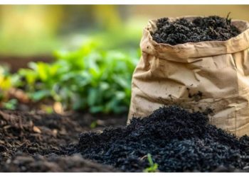 Δήμος Αμαρουσίου: Δωρεάν διάθεση φυσικού λιπάσματος – κομπόστ, Τρίτη 17 & Τετάρτη 18 Δεκεμβρίου