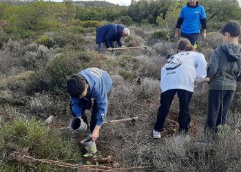 Δράση εθελοντισμού: Εκατοντάδες πλατύφυλλα φυτεύτηκαν στον Κοκκιναρά