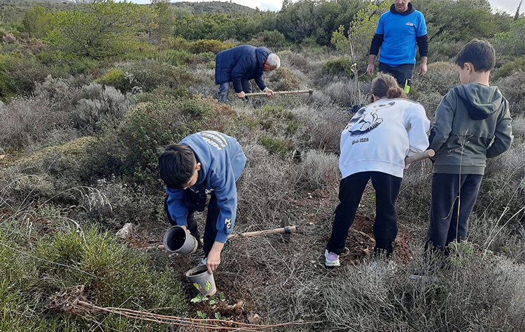 Δράση εθελοντισμού: Εκατοντάδες πλατύφυλλα φυτεύτηκαν στον Κοκκιναρά