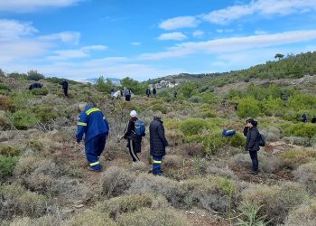 Δράση Εθελοντικής Δενδροφύτευσης: Όλοι μαζί για να πρασινίσει και πάλι ο Κοκκιναράς