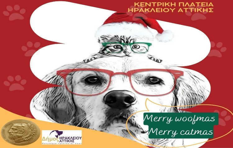 Χριστουγεννιάτικες ημέρες υιοθεσίας ζώων στο Ηράκλειο