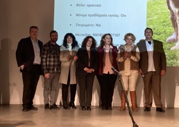 «Οι φίλοι μας τα ζώα»: Εκδήλωση ευαισθητοποίησης παιδιών προσχολικής ηλικίας