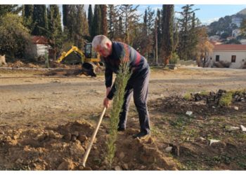 Στις δυο πρώτες  αναδασώσεις  που έγιναν στις  καμένες εκτάσεις από την πυρκαγιά του Αυγούστου συμμετείχε ο Βλάσσης Σιώμος