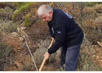 Σε σειρά αναδασώσεων συμμετείχε ο Βλάσσης Σιώμος