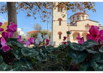 Συνολικά 1.180 νέες φυτεύσεις στα Βριλήσσια από τις αρχές του 2024