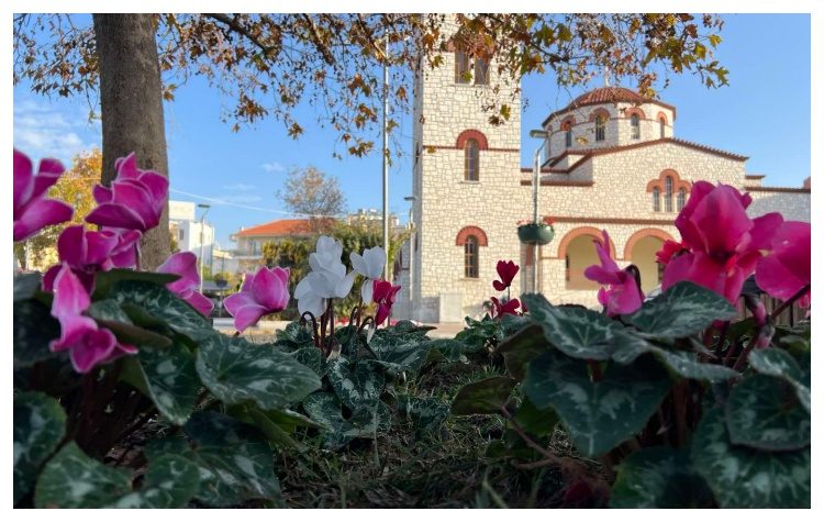 Συνολικά 1.180 νέες φυτεύσεις στα Βριλήσσια από τις αρχές του 2024