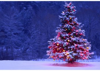 Διήγημα: Η κυρά-Καλή