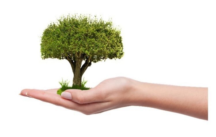 Νέα δράση δεντροφύτευσης από τον ΣΠΑΠ στην Πεντέλη