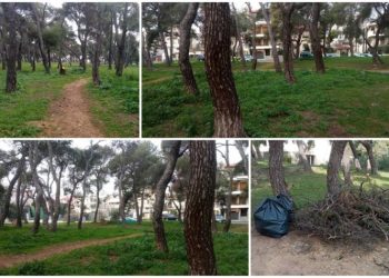 Kαθαρισμός του δάσους Αργύρη από τους οδοκαθαριστές του Δήμου