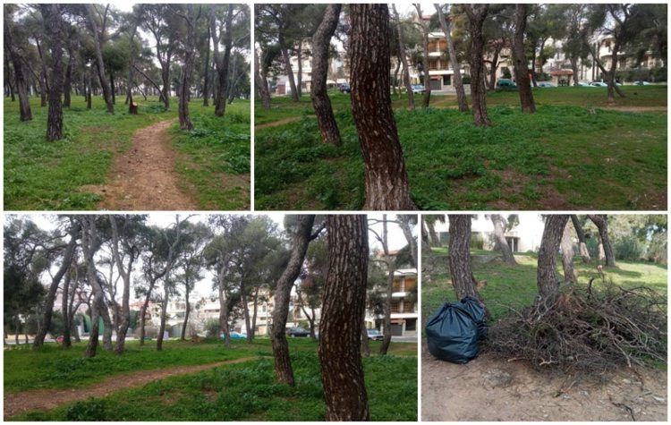 Kαθαρισμός του δάσους Αργύρη από τους οδοκαθαριστές του Δήμου