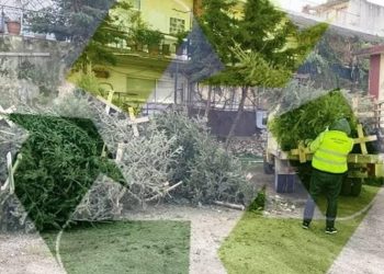 Ανακύκλωση φυσικών χριστουγεννιάτικων δέντρων από τον Δήμο Φιλοθέης - Ψυχικού