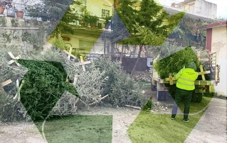 Ανακύκλωση φυσικών χριστουγεννιάτικων δέντρων από τον Δήμο Φιλοθέης - Ψυχικού