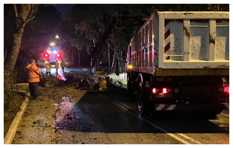 Πτώση δέντρου λόγω ισχυρών ανέμων