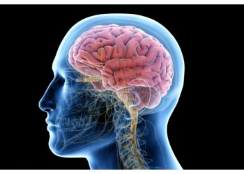 Εβδομάδα Ευαισθητοποίησης για τον Εγκέφαλο στα Βριλήσσια