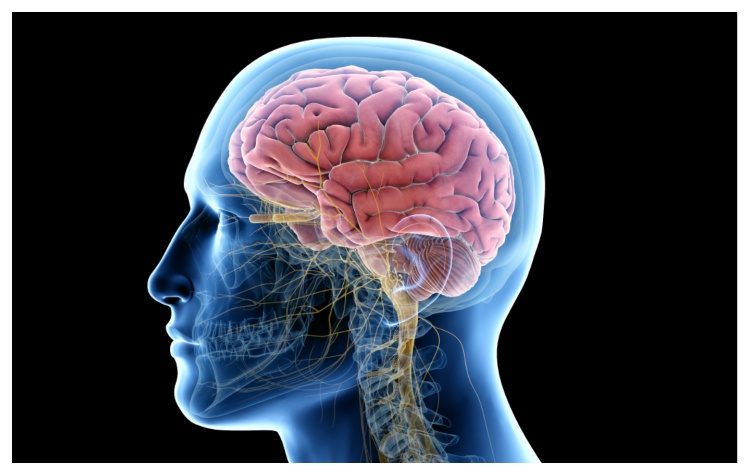 Εβδομάδα Ευαισθητοποίησης για τον Εγκέφαλο στα Βριλήσσια