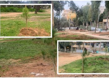 Nέες φυτεύσεις πεύκων και εγκατάσταση ποτίσματος στο δάσος Μορέλλα