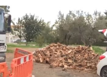 Αρχίζουν σήμερα (14/2) οι αιτήσεις για τη διανομή καυσόξυλων στον Δήμο Διονύσου