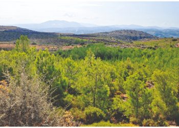 Η Τεχνητή Νοημοσύνη και τα εγκλήματα της Ελληνικής Διοίκησης