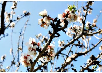 Επίκαιρες σκέψεις: O Φεβρουάριος και οι αλήθειες του