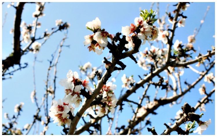 Επίκαιρες σκέψεις: O Φεβρουάριος και οι αλήθειες του