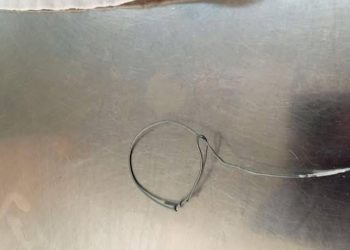 Νέα Χαλκηδόνα: Φρικτό βασανιστήριο σε αδέσποτη γάτα!