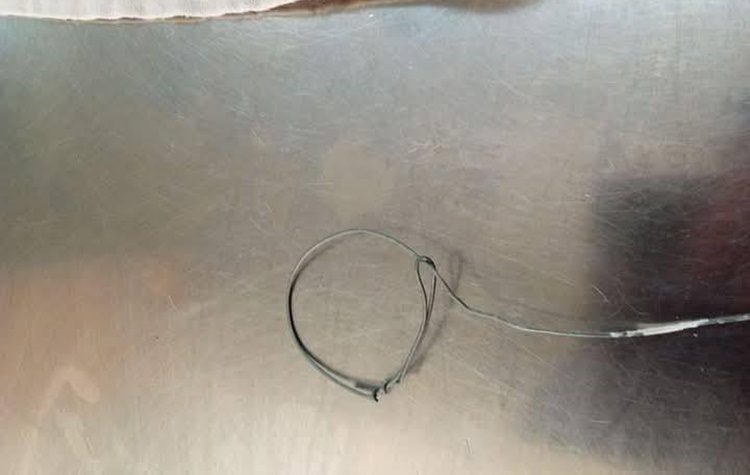 Νέα Χαλκηδόνα: Φρικτό βασανιστήριο σε αδέσποτη γάτα!