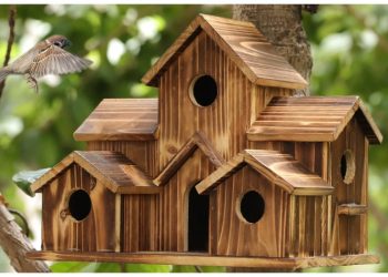 26ος Πανελλήνιος Μαθητικός Διαγωνισμός Κατασκευής Ξύλινης Φωλιάς για Πουλιά «Μιχάλης Παπαδάκης»