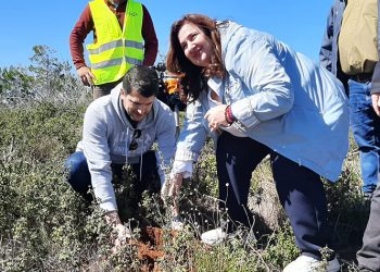 Εθελοντική δενδροφύτευση στον Άγιο Στέφανο: Χίλια νέα δέντρα «πρασίνισαν» την Αχλαδούλα